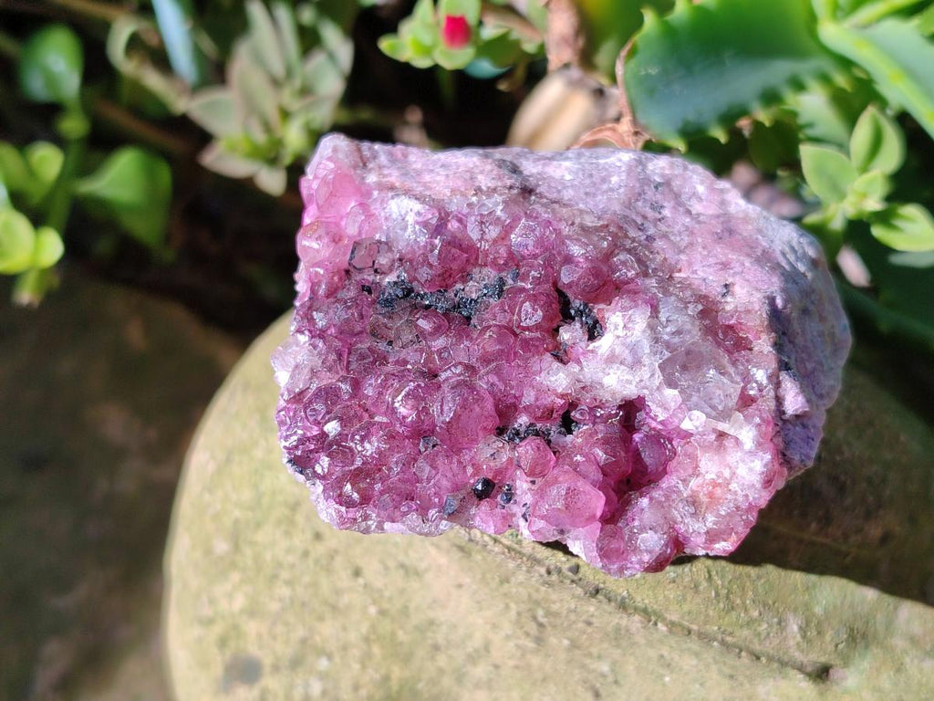 Natural Cabinet Super Rare Spherocobaltite Specimen x 1 From Musonoi Mine, Congo