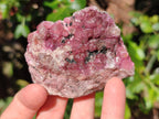 Natural Cabinet Super Rare Spherocobaltite Specimen x 1 From Musonoi Mine, Congo
