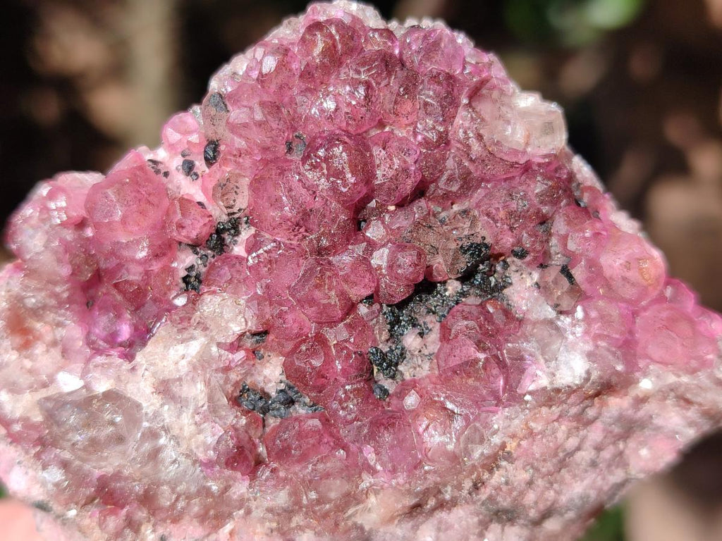 Natural Cabinet Super Rare Spherocobaltite Specimen x 1 From Musonoi Mine, Congo