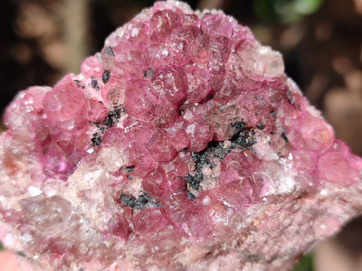 Natural Cabinet Super Rare Spherocobaltite Specimen x 1 From Musonoi Mine, Congo
