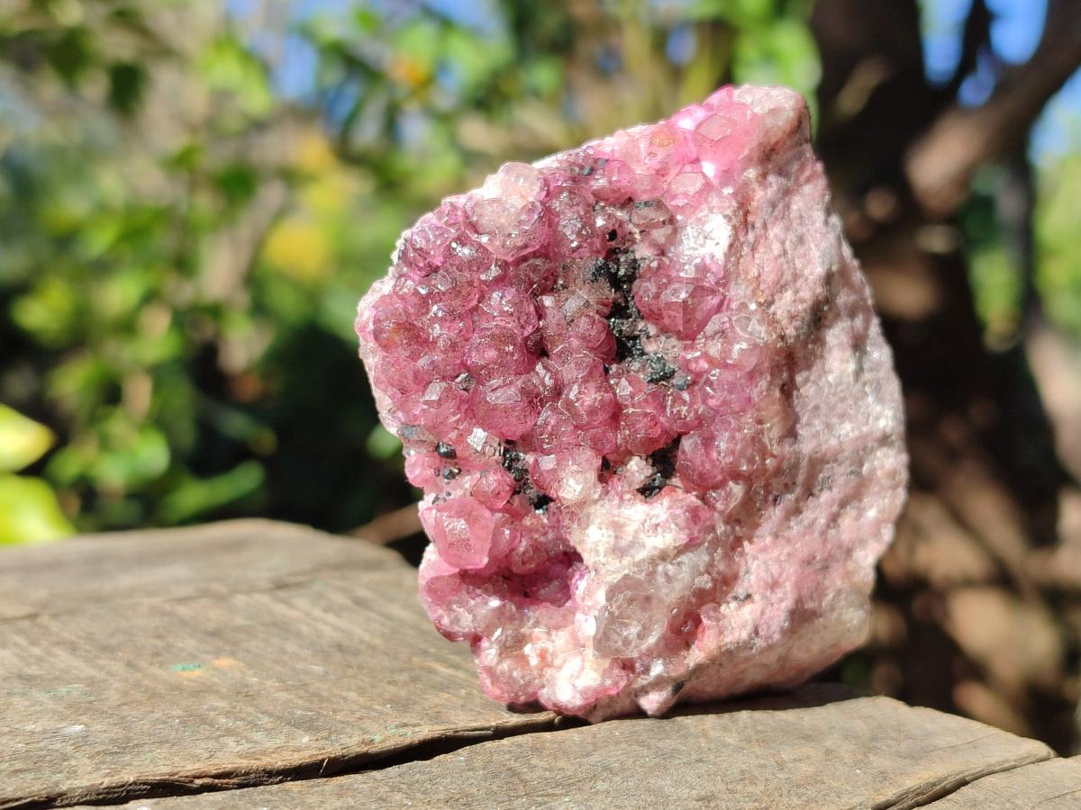 Natural Cabinet Super Rare Spherocobaltite Specimen x 1 From Musonoi Mine, Congo