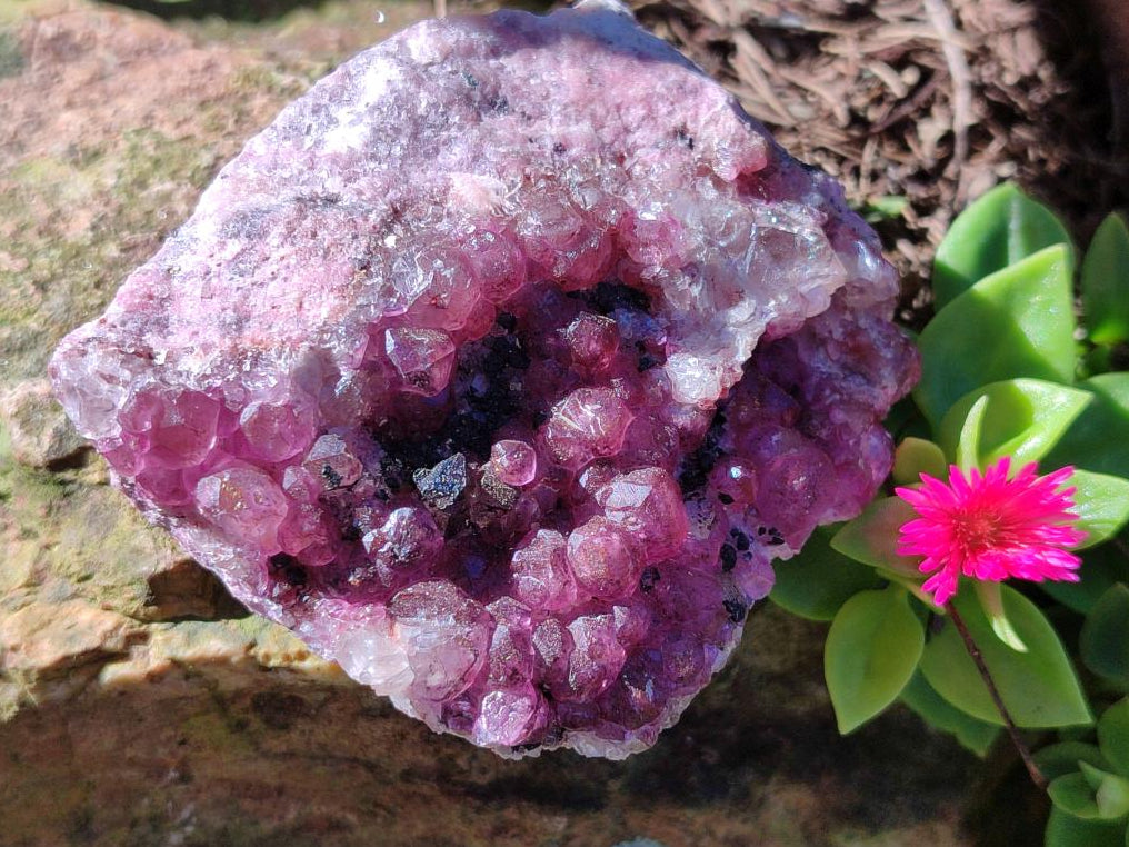 Natural Cabinet Super Rare Spherocobaltite Specimen x 1 From Musonoi Mine, Congo