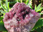 Natural Cabinet Super Rare Spherocobaltite Specimen x 1 From Musonoi Mine, Congo