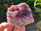 Natural Cabinet Super Rare Spherocobaltite Specimen x 1 From Musonoi Mine, Congo