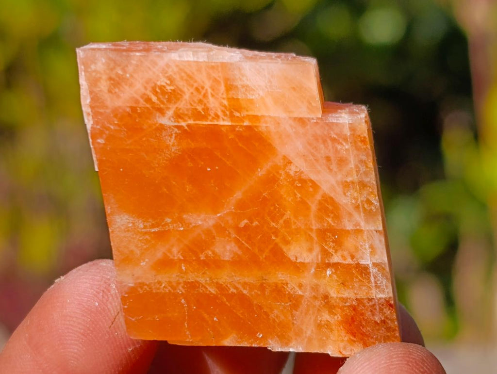 Natural Mix of African Minerals and Crystal Set of 20 x 1 From Southern Africa