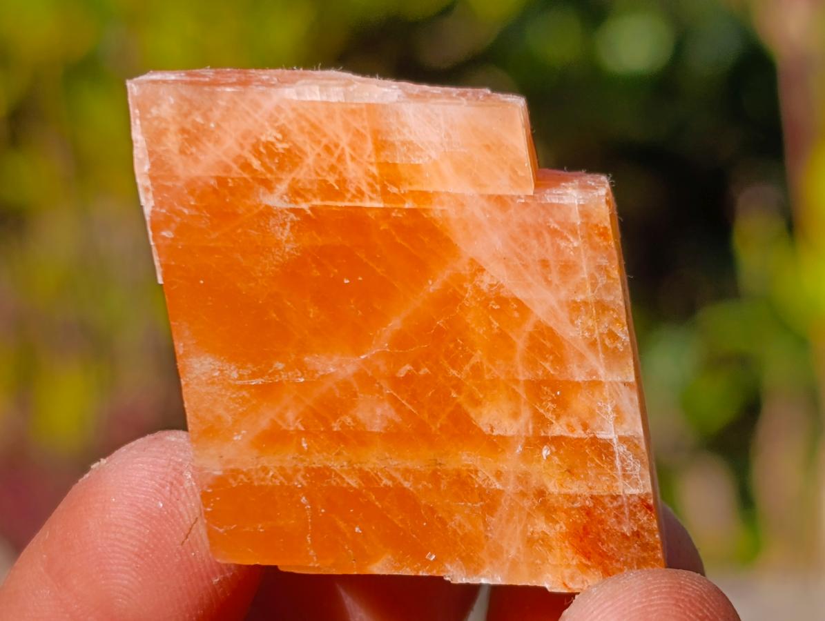 Natural Mix of African Minerals and Crystal Set of 20 x 1 From Southern Africa