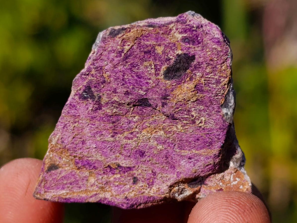 Natural Mix of African Minerals and Crystal Set of 20 x 1 From Southern Africa