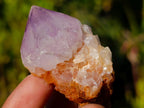 Natural Mix of African Minerals and Crystal Set of 20 x 1 From Southern Africa