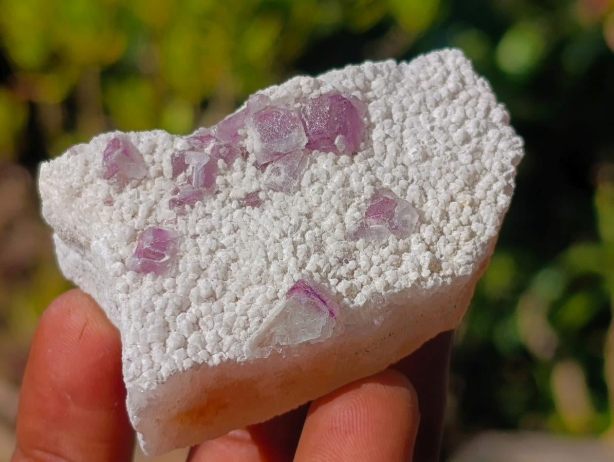 Natural Mix of African Minerals and Crystal Set of 20 x 1 From Southern Africa