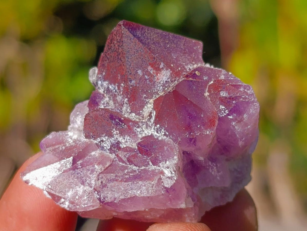 Natural Mix of African Minerals and Crystal Set of 20 x 1 From Southern Africa