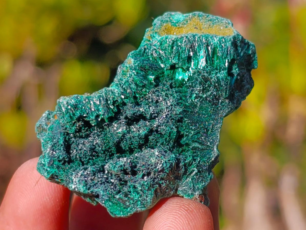 Natural Mix of African Minerals and Crystal Set of 20 x 1 From Southern Africa