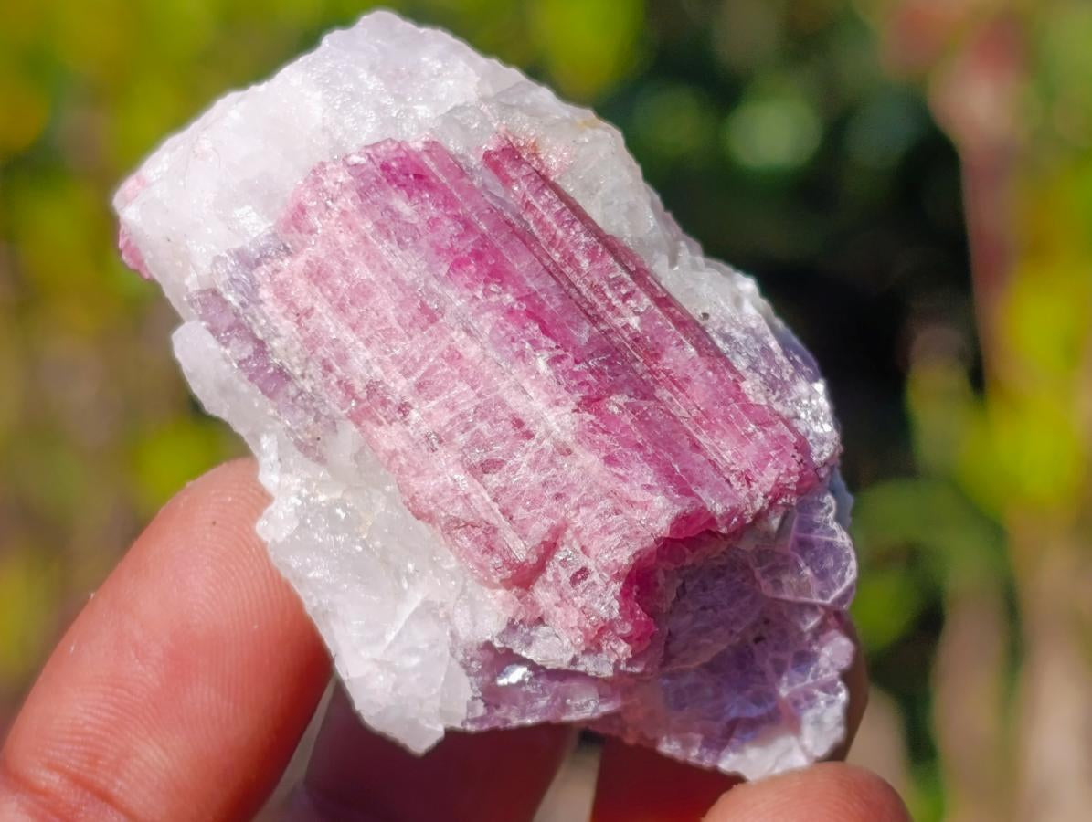 Natural Mix of African Minerals and Crystal Set of 20 x 1 From Southern Africa