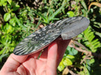 Polished Cabinet Size Black Cleoniceras Ammonite Calcite Fossil Half x 1 From Tulear, Madagascar