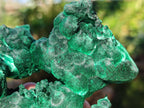 Natural Cabinet Size Silky Malachite Specimen x 1 From Kasompe, Congo
