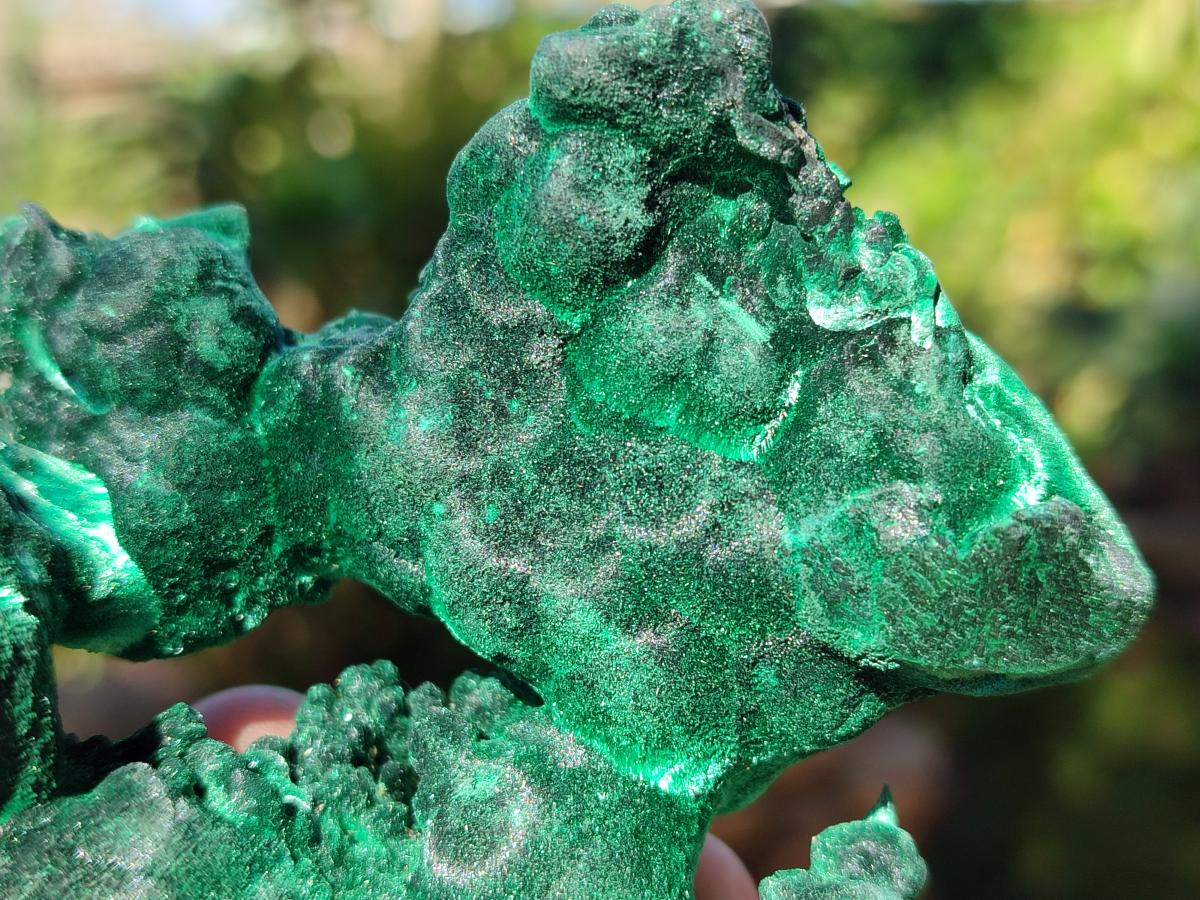 Natural Cabinet Size Silky Malachite Specimen x 1 From Kasompe, Congo