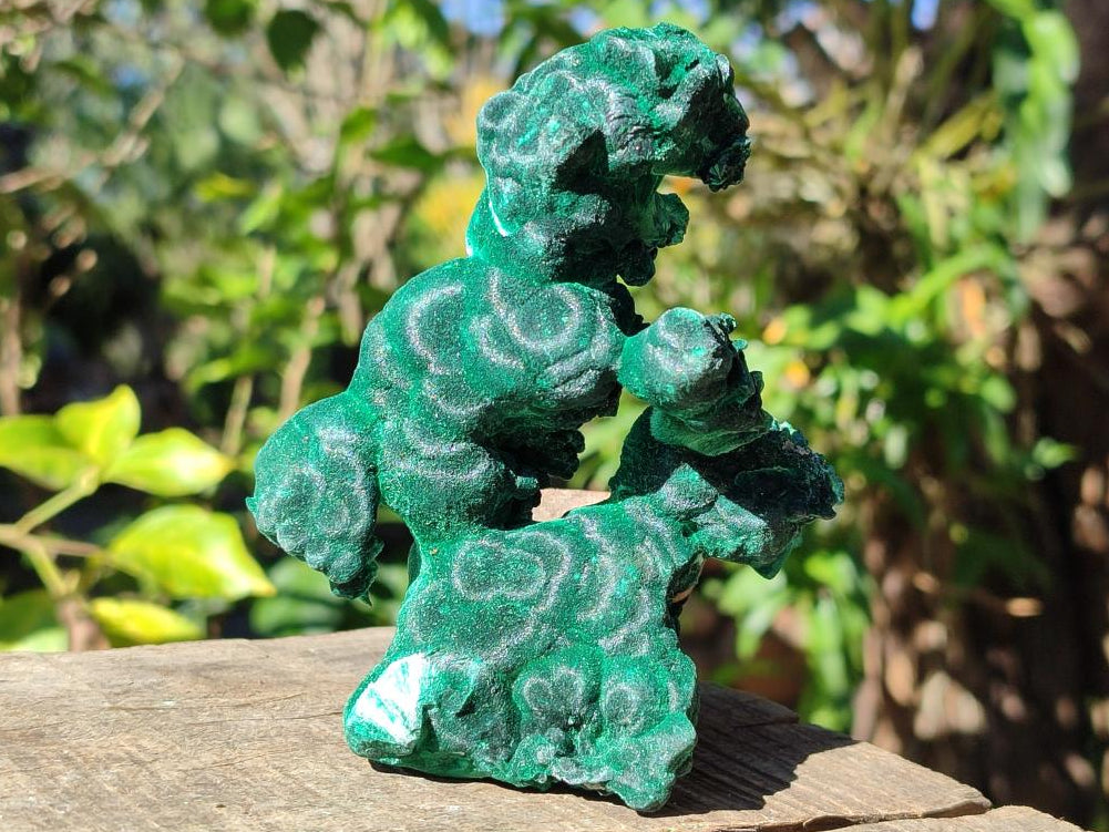 Natural Cabinet Size Silky Malachite Specimen x 1 From Kasompe, Congo