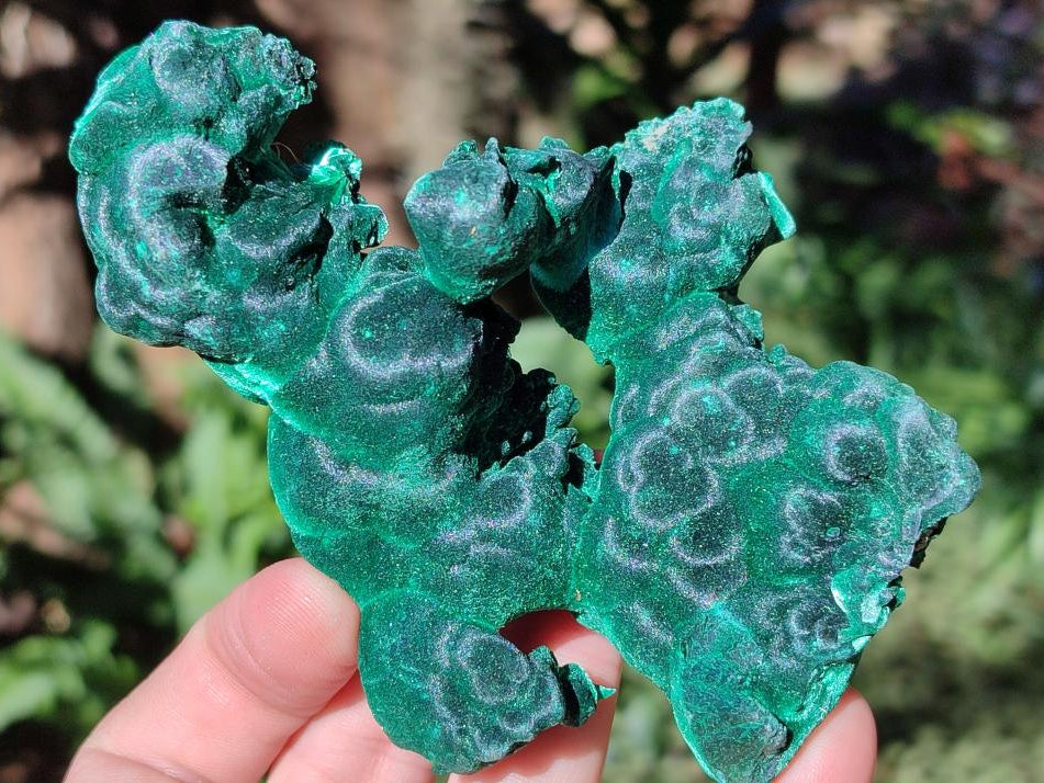 Natural Cabinet Size Silky Malachite Specimen x 1 From Kasompe, Congo