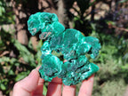 Natural Cabinet Size Silky Malachite Specimen x 1 From Kasompe, Congo