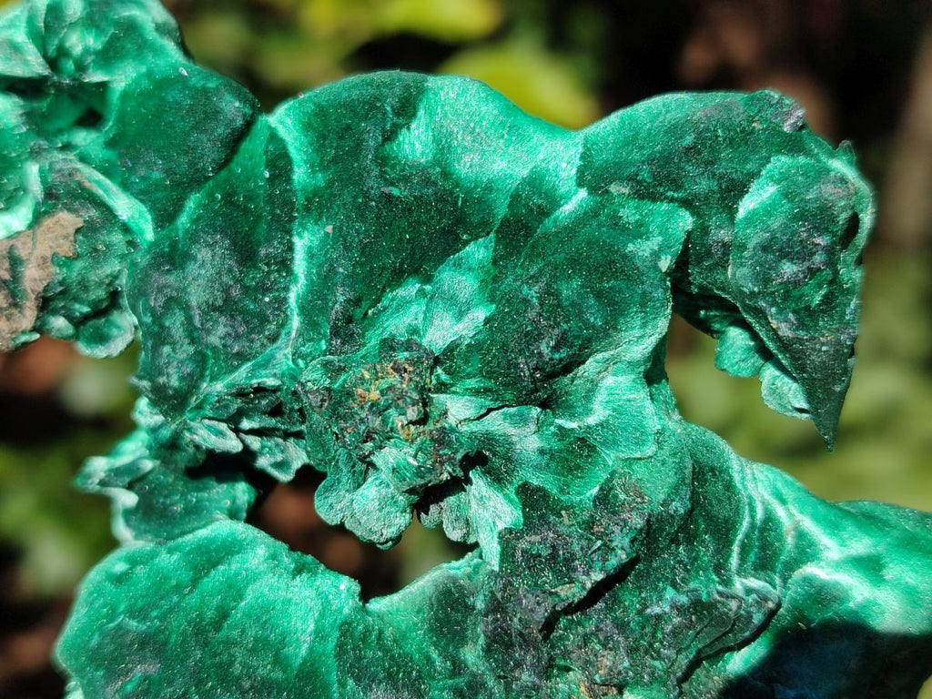 Natural Cabinet Size Silky Malachite Specimen x 1 From Kasompe, Congo