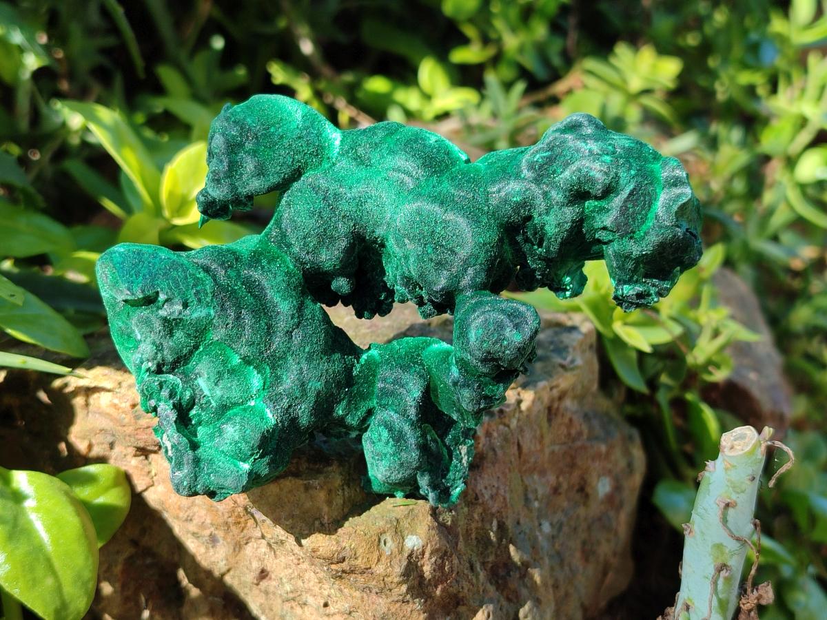 Natural Cabinet Size Silky Malachite Specimen x 1 From Kasompe, Congo