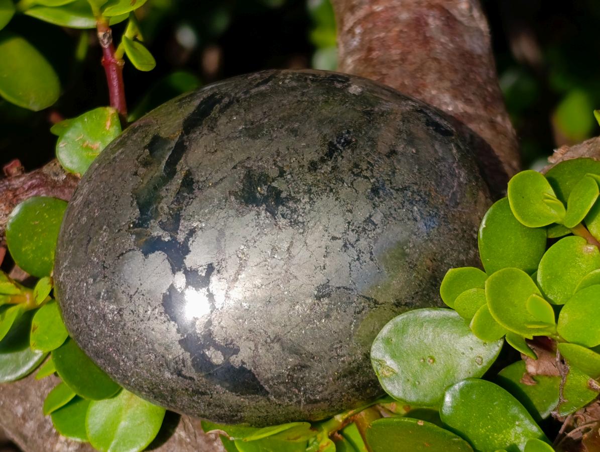 Polished Cabinet Size Basalt and Pyrite Pharaoh Stone Palm Stone x 1 From Iron Duke Mine, Zimbabwe