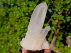 Natural Clear Quartz Crystal Cluster x 1 From Ambatofinandrahana, Madagascar