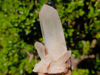 Natural Clear Quartz Crystal Cluster x 1 From Ambatofinandrahana, Madagascar