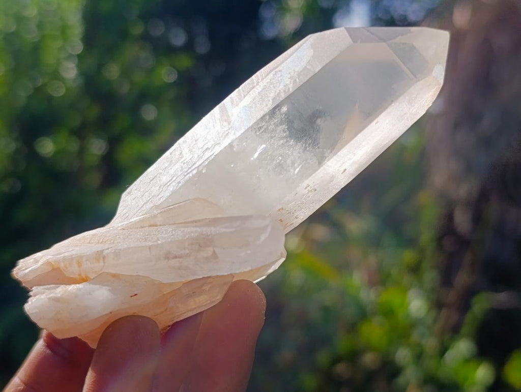 Natural Clear Quartz Crystal Cluster x 1 From Ambatofinandrahana, Madagascar