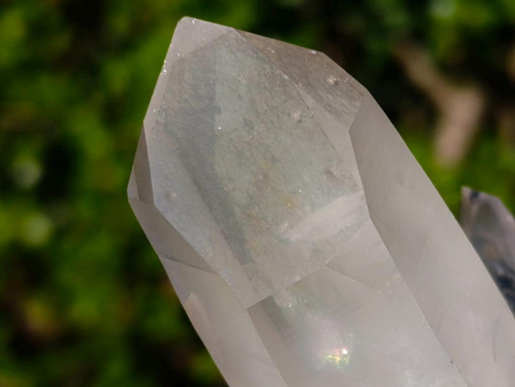 Natural Clear Quartz Crystal Cluster x 1 From Ambatofinandrahana, Madagascar