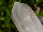 Natural Clear Quartz Crystal Cluster x 1 From Ambatofinandrahana, Madagascar