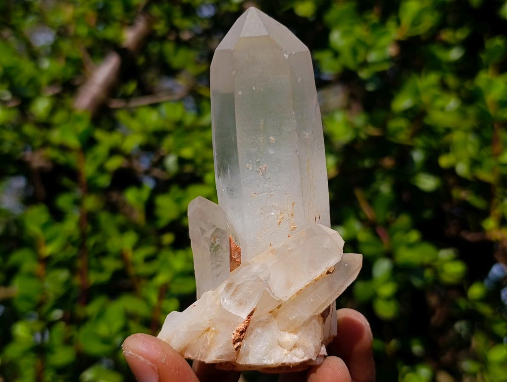 Natural Clear Quartz Crystal Cluster x 1 From Ambatofinandrahana, Madagascar