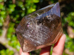 Polished Smokey Quartz Double Terminated Crystal x 1 From Madagascar