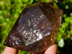 Polished Smokey Quartz Double Terminated Crystal x 1 From Madagascar