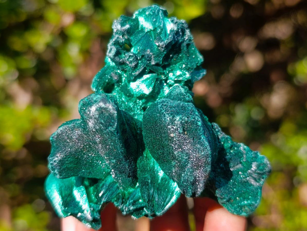 Natural Cabinet Size Silky Malachite Specimen x 1 From Kasompe, Congo