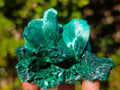 Natural Cabinet Size Silky Malachite Specimen x 1 From Kasompe, Congo