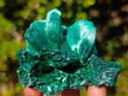 Natural Cabinet Size Silky Malachite Specimen x 1 From Kasompe, Congo