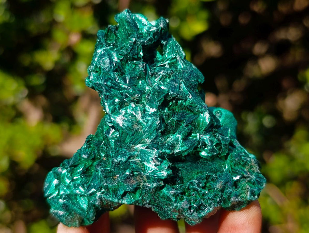 Natural Cabinet Size Silky Malachite Specimen x 1 From Kasompe, Congo