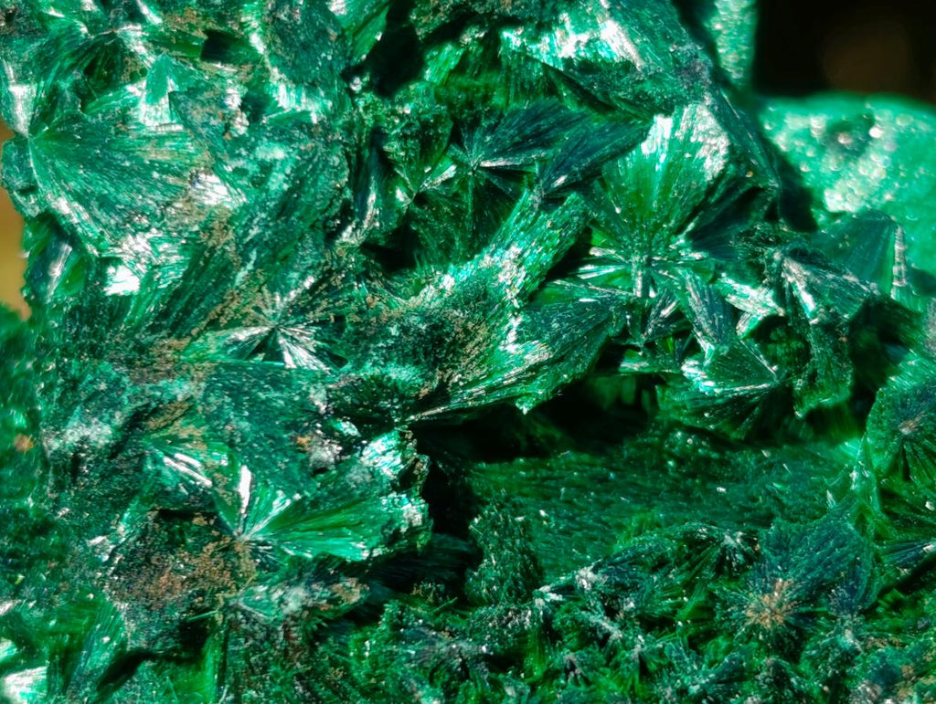 Natural Cabinet Size Silky Malachite Specimen x 1 From Kasompe, Congo