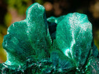 Natural Cabinet Size Silky Malachite Specimen x 1 From Kasompe, Congo