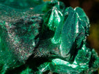 Natural Cabinet Size Silky Malachite Specimen x 1 From Kasompe, Congo