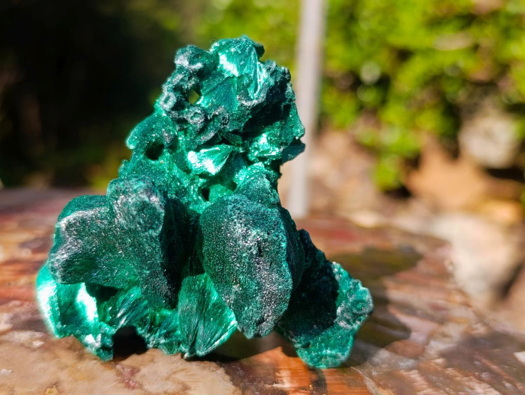 Natural Cabinet Size Silky Malachite Specimen x 1 From Kasompe, Congo