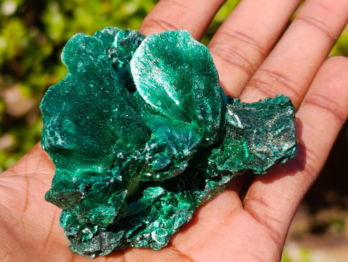 Natural Cabinet Size Silky Malachite Specimen x 1 From Kasompe, Congo