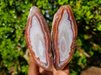 Polished One Side Identical Twin Pair of Red Shashe River Agate Nodules x 1 From Shashe River, Zimbabwe