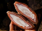 Polished One Side Identical Twin Pair of Red Shashe River Agate Nodules x 1 From Shashe River, Zimbabwe