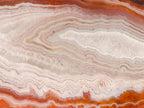 Polished One Side Identical Twin Pair of Red Shashe River Agate Nodules x 1 From Shashe River, Zimbabwe