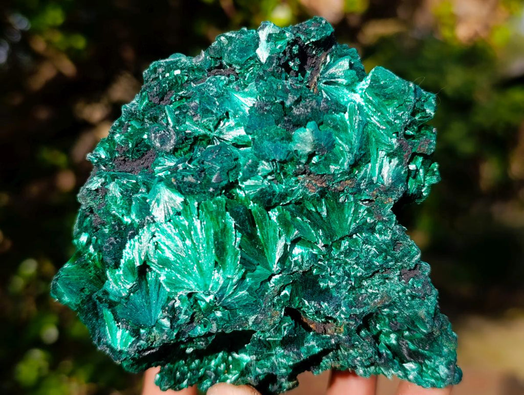 Natural Cabinet Size Silky Malachite Specimen x 1 From Kasompe, Congo