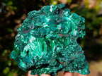Natural Cabinet Size Silky Malachite Specimen x 1 From Kasompe, Congo