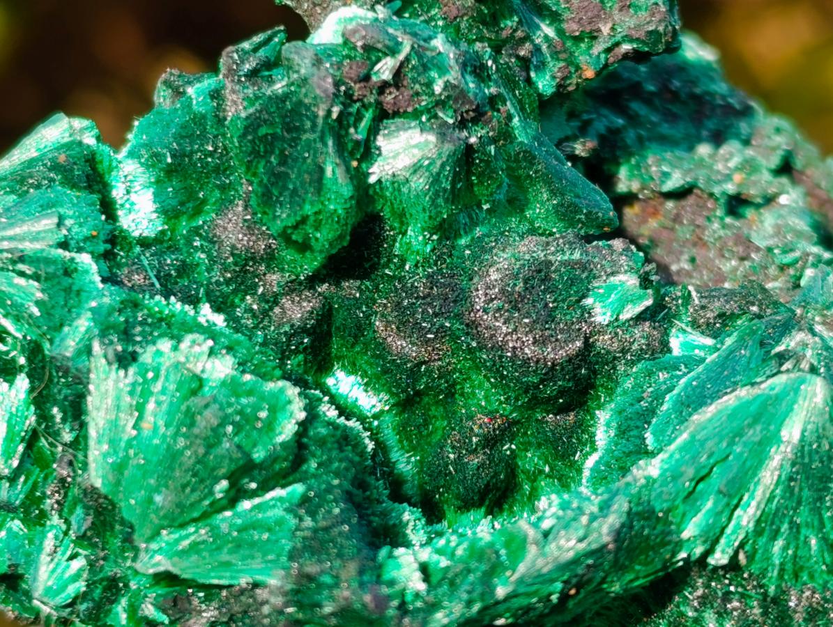 Natural Cabinet Size Silky Malachite Specimen x 1 From Kasompe, Congo