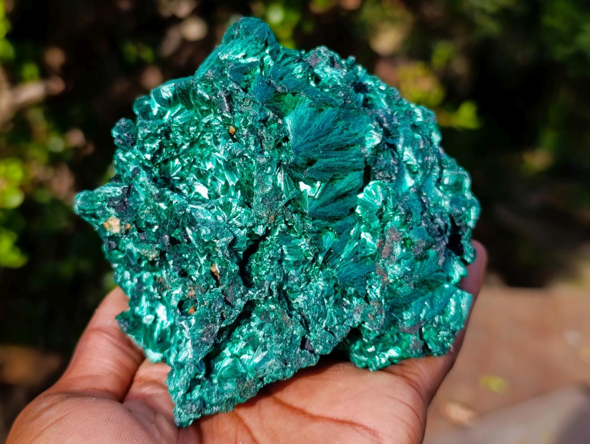Natural Cabinet Size Silky Malachite Specimen x 1 From Kasompe, Congo