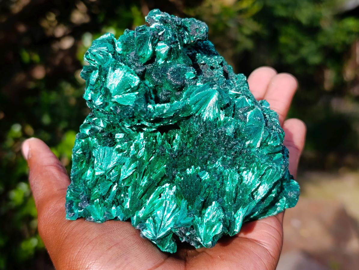 Natural Cabinet Size Silky Malachite Specimen x 1 From Kasompe, Congo